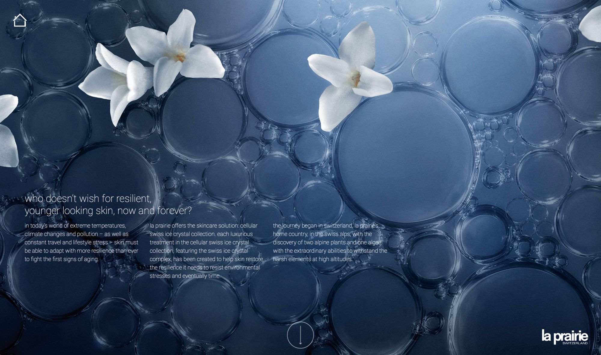 Swiss Ice Crystal